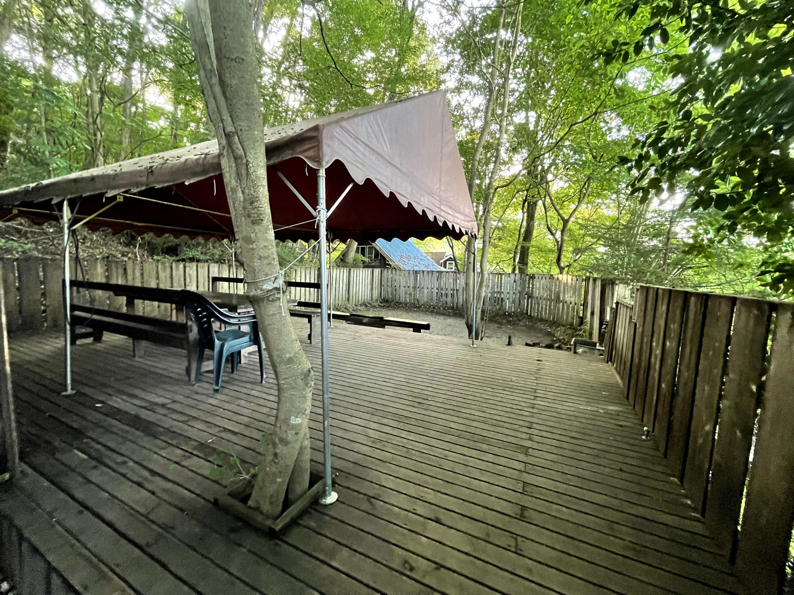 テラスとドッグラン