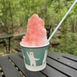 本格ふわふわかき氷