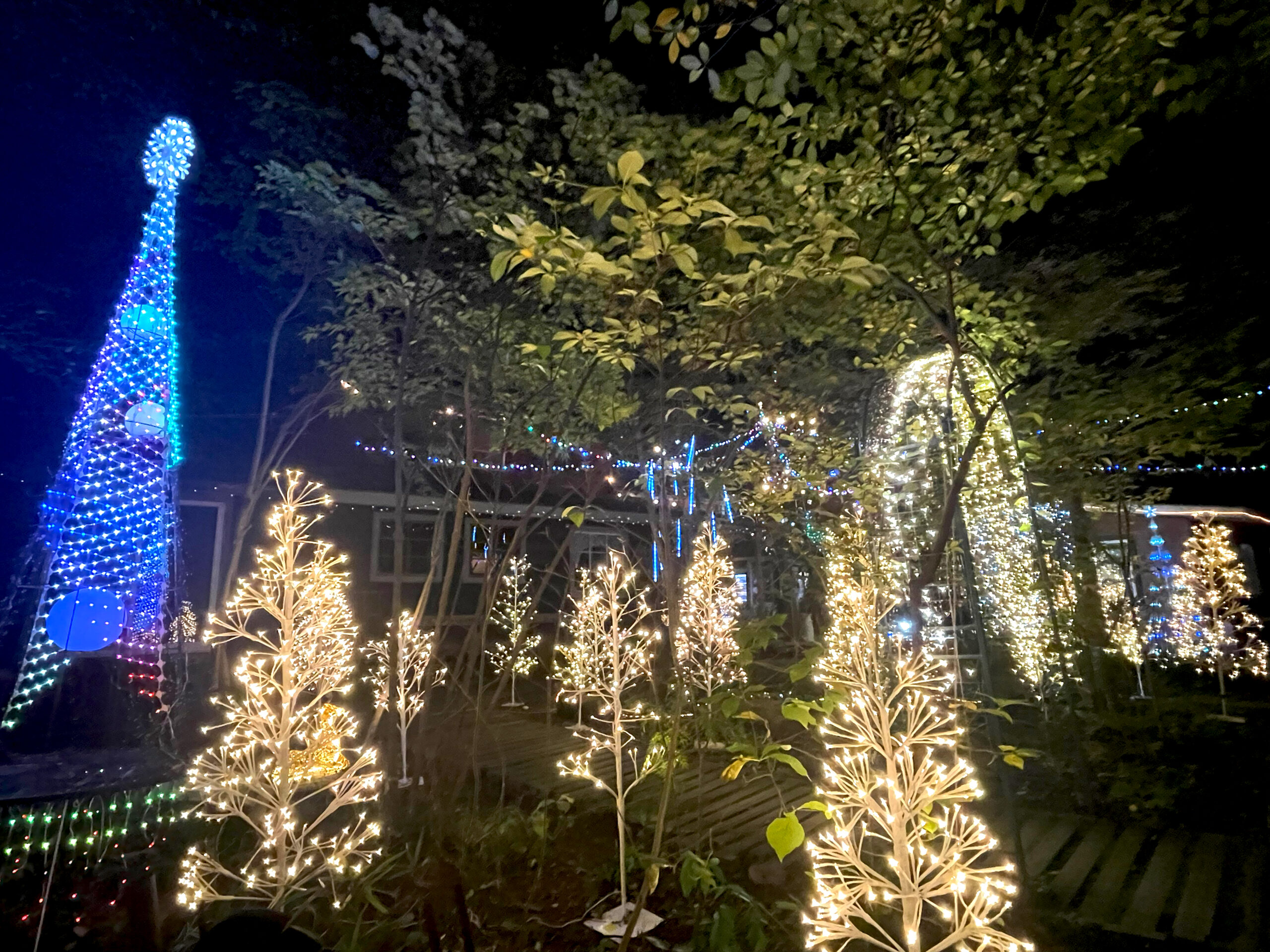 サンタヒルズのイルミネーション